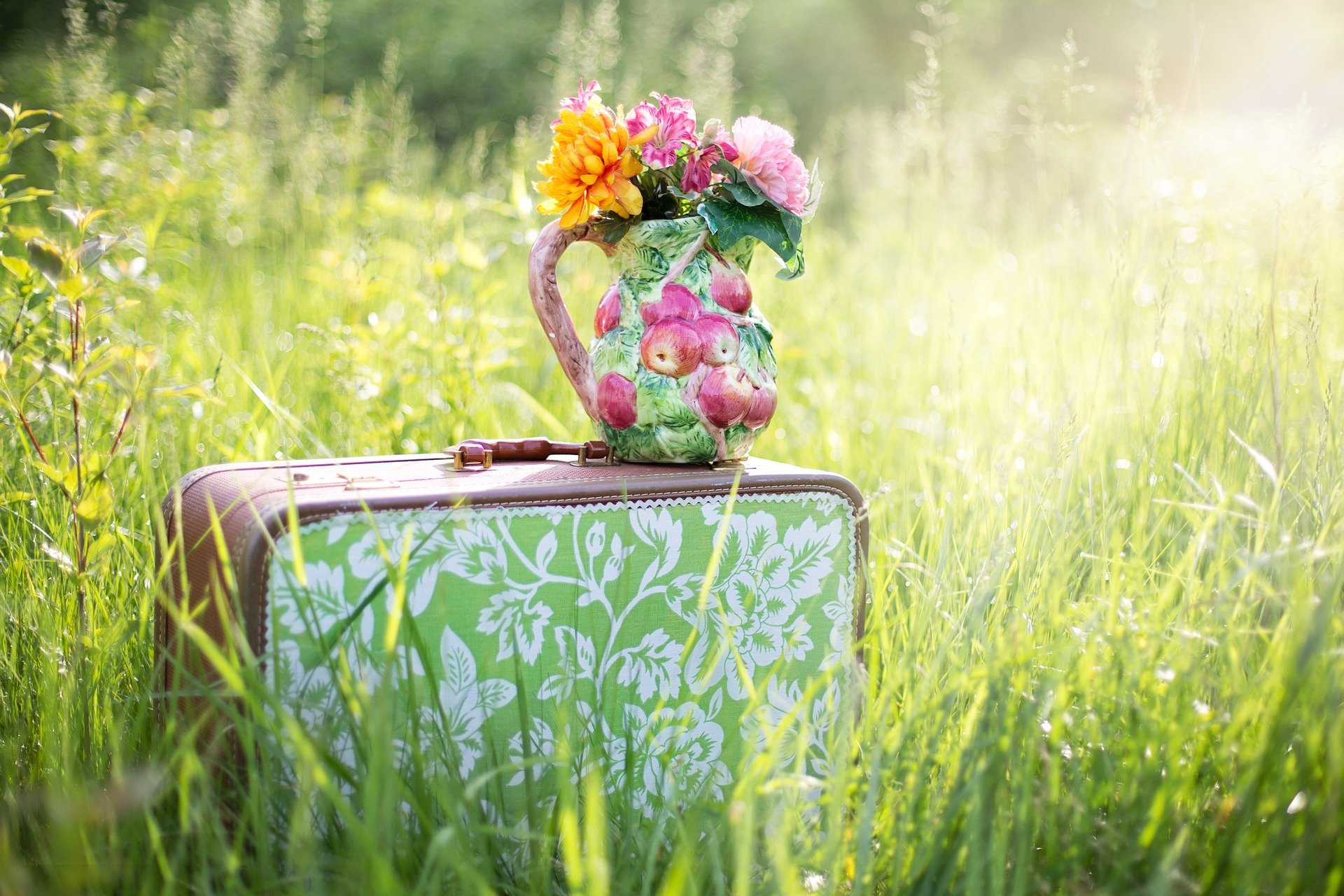 summer-still-life-785231_1920 summer-still-life-785231_1920