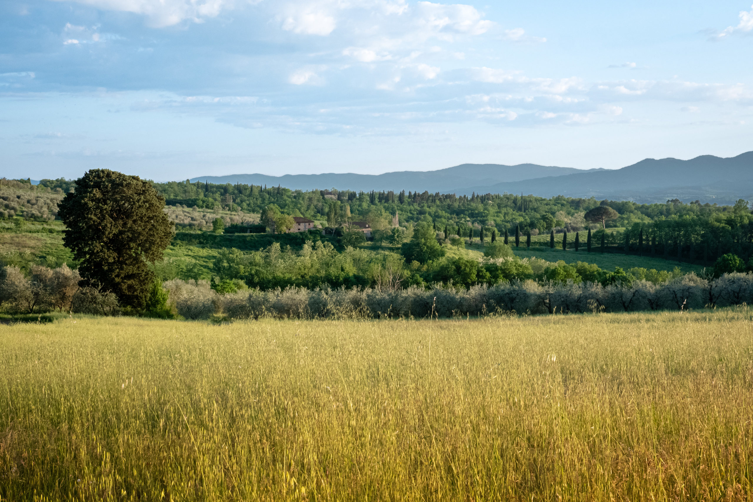 01052025-P8900539