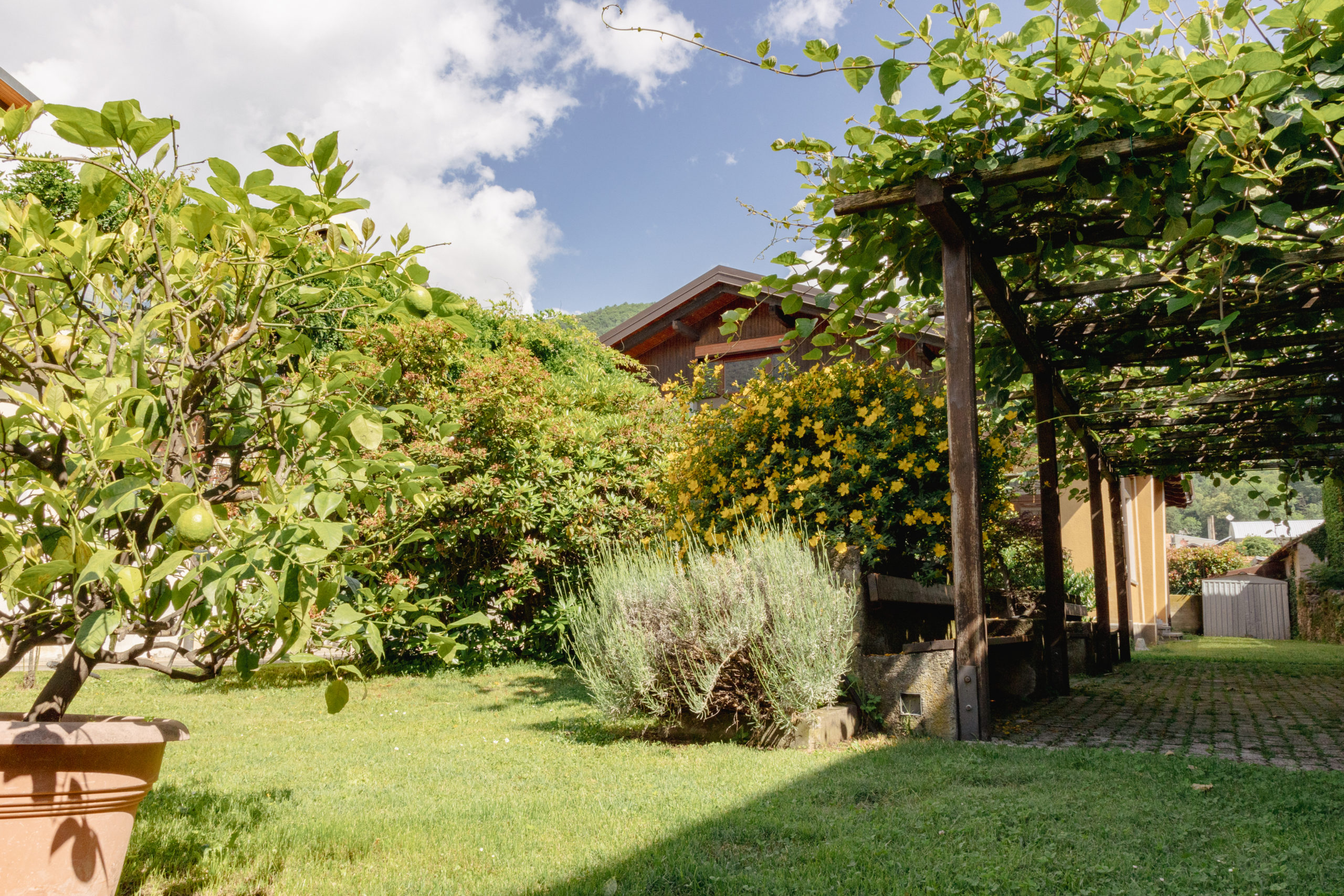giardino-foresteria-torre-pellice
