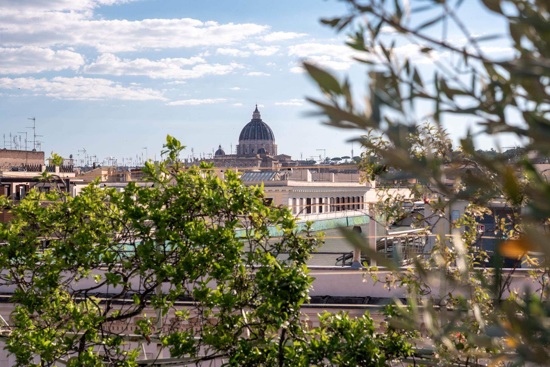 Vista dalla terrazza